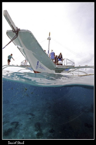 A diving trip to Sumilon Island, Cebu, Philipines. The ty... by Daniel Strub 